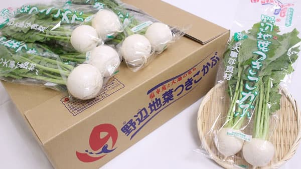 青森を代表するブランド　「野辺地葉つきこかぶ」販売中　ＪＡタウン