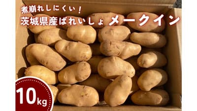 茨城県産ばれいしょ「メークイン」と「とうや」期間限定で販売中　ＪＡタウン