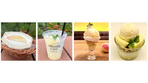 和歌山県産桃「白鳳」堪能「ココ・カラ。和歌山」ももフェア開催　ＪＡ全農