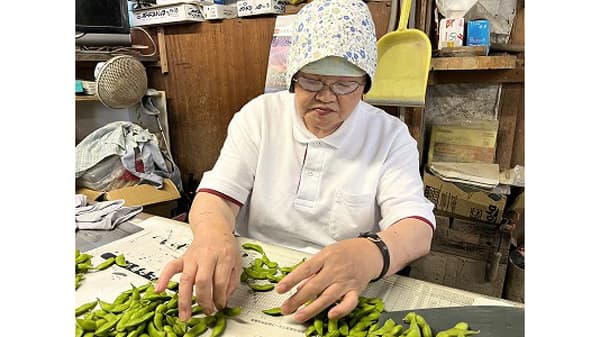 だだちゃ豆収穫最盛期　大泉枝豆直売グループ　ＪＡ鶴岡