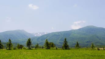 【寄稿】酪農・チーズが創造する多様な地域共生（2）　蔵王酪農センター理事長・冨士重夫氏