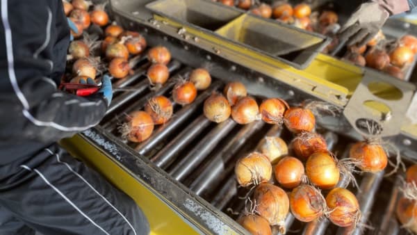 「合理的価格形成」で農協系統に期待　農水省経営局・新川元康協同組織課長講演　新世紀ＪＡ研究会（上）