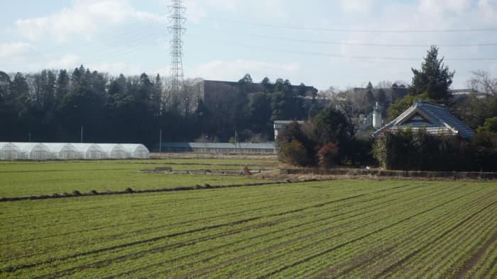 【花ひらく暮らしと地域―ＪＡ女性　四分の三世紀（12）】エンパワーメント＜中＞「地域・社会貢献」に奔走