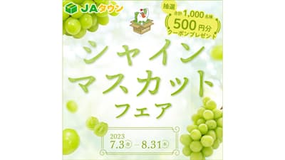 「シャインマスカットフェア」開始　1000人に500円クーポンプレゼント　ＪＡタウン