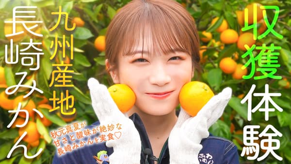 秋元真夏の「ゆるふわたいむ」長崎みかんを収穫体験　ＪＡタウン