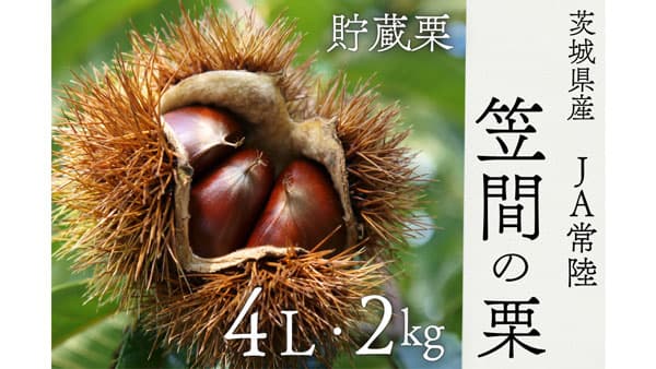 ＪＡ常陸「茨城県産 笠間の栗」予約販売中　ＪＡタウン