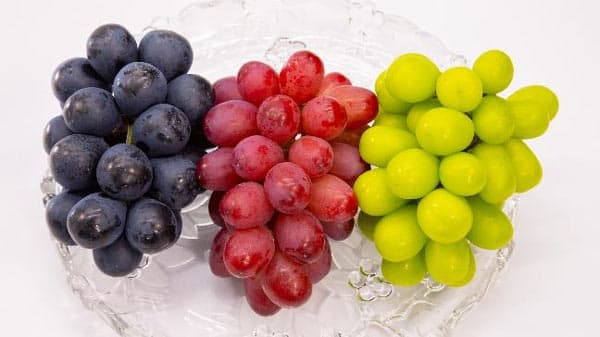 「長野県産ぶどう三姉妹フェア」9月23日から開催　ＪＡ全農