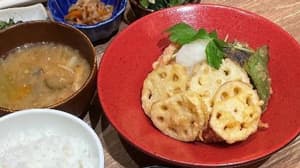 みのる食堂アミュプラザくまもと店で「高砂レンコン」フェア15日まで開催　ＪA全農