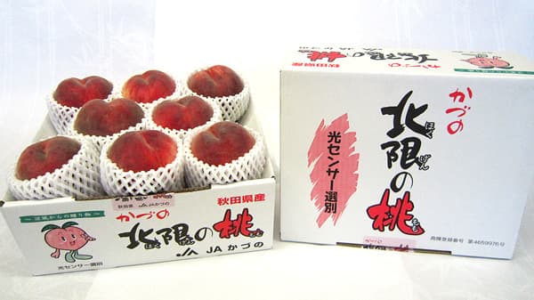 「食べごろ桃特集」週替わりプレゼント　最終週は秋田産「かづの北限の桃」　ＪＡタウン