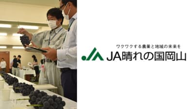 令和6年度津山地域ぶどう共進会　ＪＡ晴れの国岡山