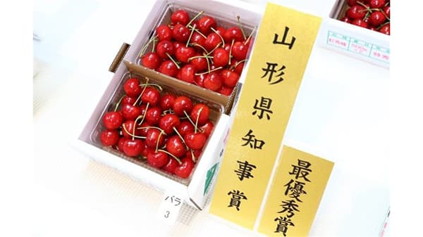 山形県さくらんぼ品評会受賞商品を限定販売　特別な「佐藤錦」「紅秀峰」登場　ＪＡタウン
