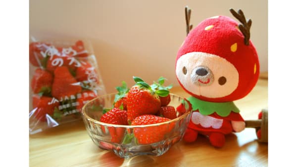 長崎県のいちごをテーマに「川柳コンテスト」初開催　ＪＡ全農ながさき