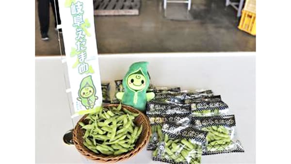 「岐阜えだまめ」の出荷始まる　初出荷は80kg、11月までに700ｔ出荷へ　ＪＡ全農ぎふ