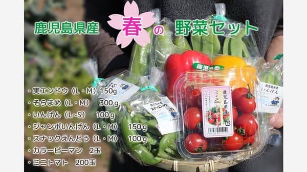 実えんどうなど7種類　鹿児島県産"春の野菜セット"販売中　ＪＡタウン
