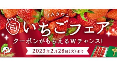 人気品種が勢ぞろい　今が旬のいちご＆柑橘フェア開始　ＪＡタウン