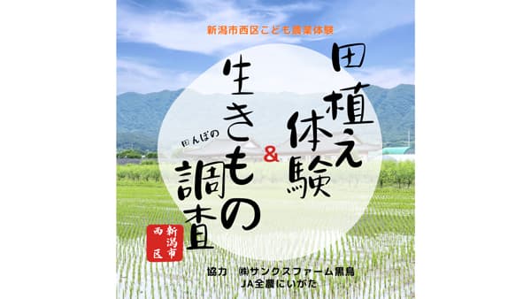 新潟市西区こども農業体験「田んぼの生きもの調査」参加者募集　5月25日に実施　ＪＡ全農にいがたが協力