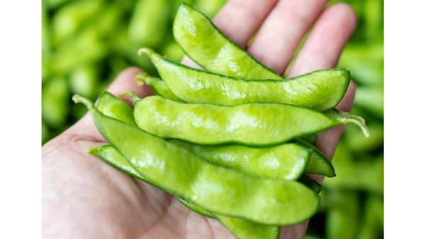 新しい夏の枝豆「丹波篠山デカンショ豆」予約開始　ＪＡタウン「あつめて、兵庫。」