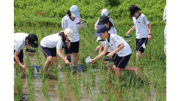 令和7年度「田んぼの生きもの調査」を実施　ＪＡ全農あきた
