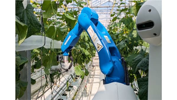 安川電機と共同開発「キュウリ作業ロボット」ゆめファーム全農SAGAで稼働開始　ＪＡ全農