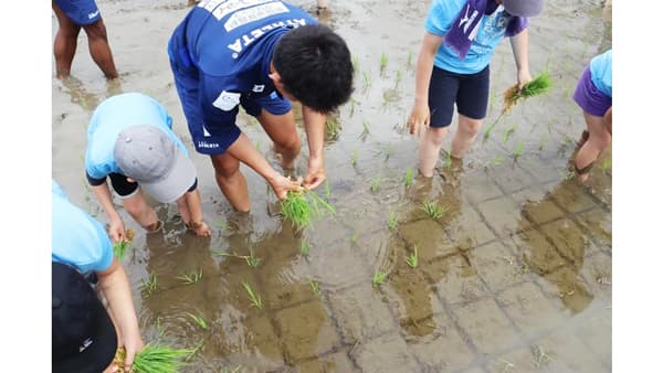 ブラウブリッツ秋田×ＪＡ全農あきた「元気わくわくキッズプロジェクト」第1弾の参加者募集　ドライフラワーアレンジメントと田植え体験