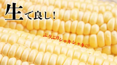 鹿児島県産朝採りとうもろこし「ゴールドラッシュ」販売中　ＪＡタウン
