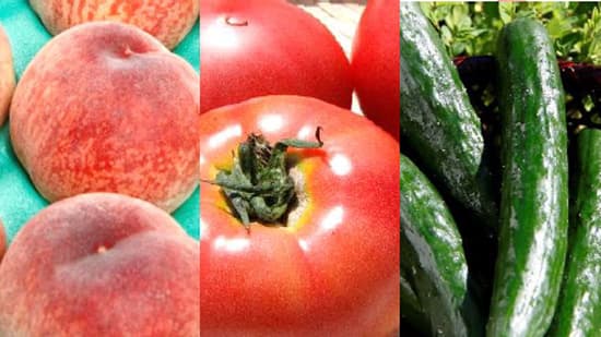 熊本県「かみましきの実り」銀座三越で2年ぶりに開催　ＪＡ全農