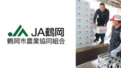 ネットメロン初出荷　販売高12億円目指す　ＪＡ鶴岡