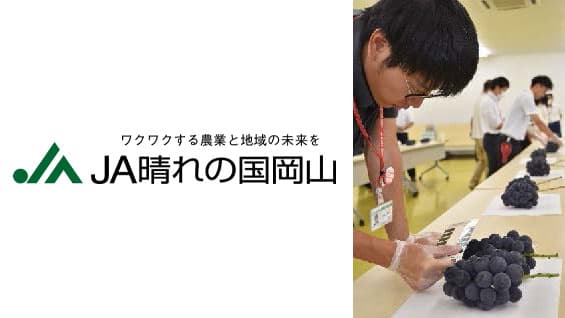 まにわぶどう部会共進会開催　ＪＡ晴れの国岡山