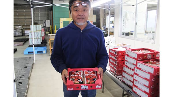 台湾へイチゴ輸出　熊本空港活用し鮮度確保　ＪＡかみましき