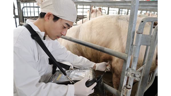 【ＪＡ全農の若い力】飼料畜産中央研究所（3）適正な栄養面を追究　山下大河さん
