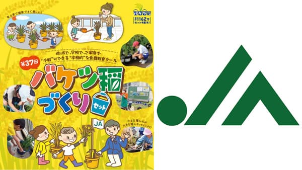 ベランダや庭先で手軽に米づくり「バケツ稲づくり」申し込み開始　ＪＡグループ