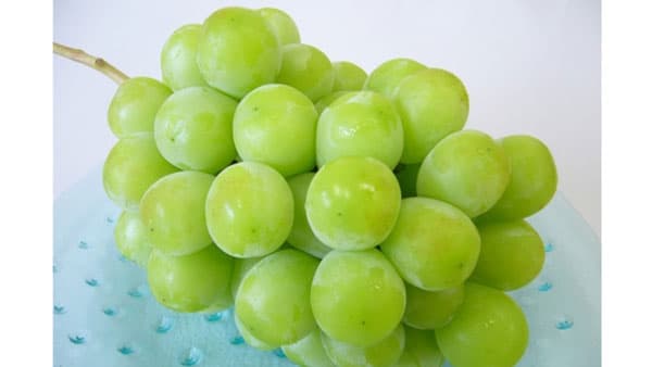 種なしで甘くておいしい　島根県産「シャインマスカット」販売中　ＪＡタウン