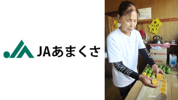 極早生ミカンの選果開始　糖度高く順調なスタート　ＪＡあまくさ