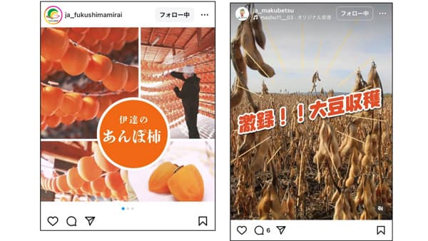 農・食の魅力を伝える「ＪＡインスタコンテスト」グランプリは「ＪＡふくしま未来とＪＡ幕別町