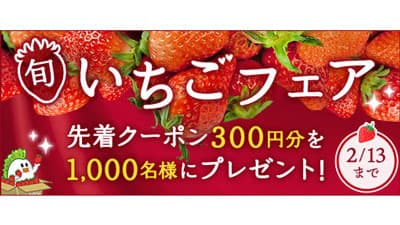 ＪＡタウン「いちごフェア」開催　先着1000人に300円クーポンをプレゼント