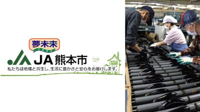 「肥後のでこなす」出荷最盛期を迎える　ＪＡ熊本市