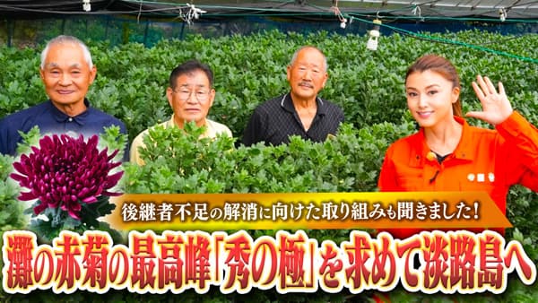 藤原紀香「ゆるふわちゃんねる」淡路島で「灘の赤菊」生産者とゆる飲み　ＪＡタウン