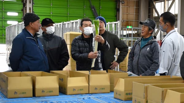 軟白ねぎ目揃い会を開く　ＪＡ鶴岡