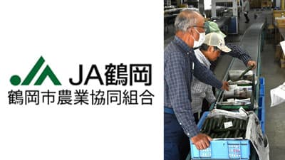 キュウリ目揃い会で規格確認　ＪＡ鶴岡