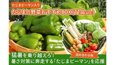猛暑対策の潅水装置導入へ　兵庫「たじまピーマン」を食べて応援　ＪＡタウン