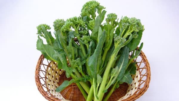 島根オリジナル野菜「あすっこ」など20％OFF「しまね・うまいもんくらぶ」年度末大決算セール開催中　ＪＡタウン