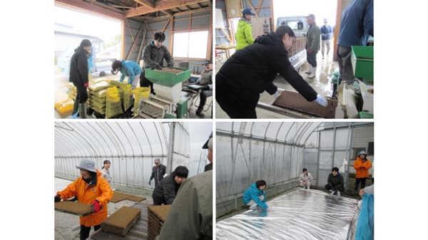 職員対象に「農業体験研修」を実施　ＪＡ全農あきた