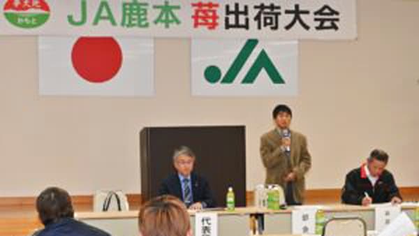 イチゴの出荷始まる　ＪＡ鹿本