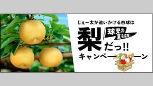 球児の夏を応援「じぇー太が追いかける白球は梨だっ!!キャンペーン」開始　ＪＡタウン