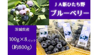 茨城県産ブルーベリー「いいものいっぱい広場」で販売開始　ＪＡタウン