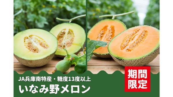 糖度13度以上　兵庫県産「いなみ野メロン」（青肉・赤肉）予約販売開始　ＪＡタウン
