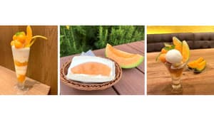 北海道の夏の風物詩「夕張メロンフェア」全農直営飲食店舗で初開催