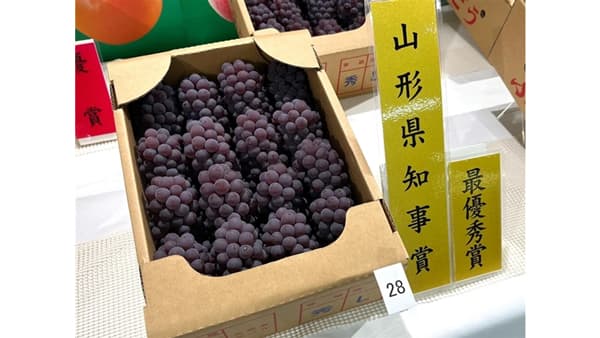山形県ぶどう｢デラウェア｣品評会入賞商品を限定販売　ＪＡタウン