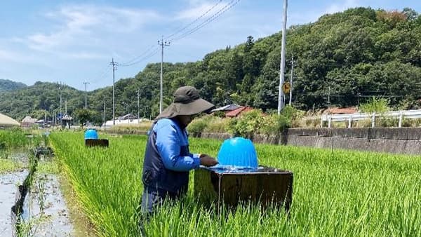 水稲栽培のメタンガス排出量・生育状況を調査　ＪＡ全農ひろしまと広島大学の共同研究