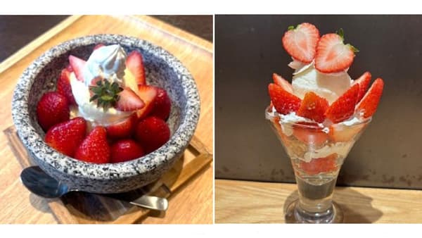 大粒でジューシーないちご「栃木県産とちあいかフェア」6日から　ＪＡ全農